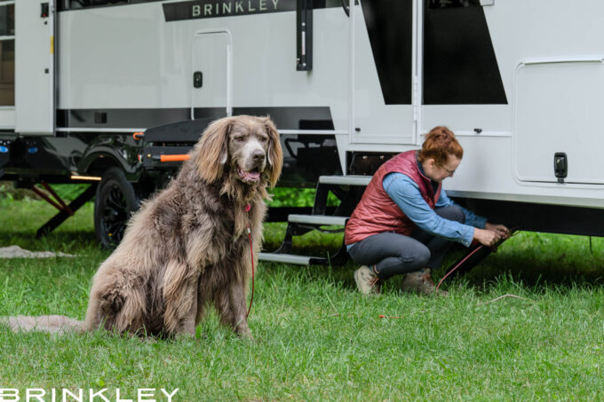 Model I 294 Travel Trailers Lifestyle Pet Tie Down 2025 Brinkley RV 0076