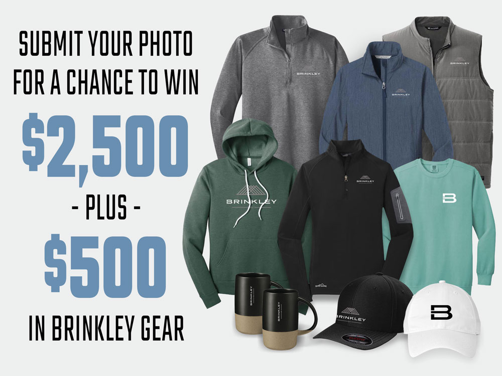 GContest WebGraphic2