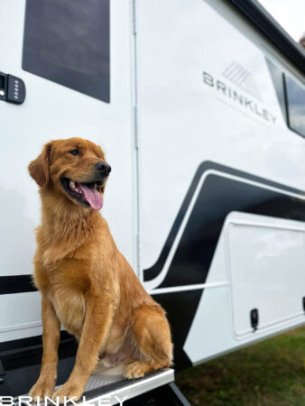 RVing with Dogs