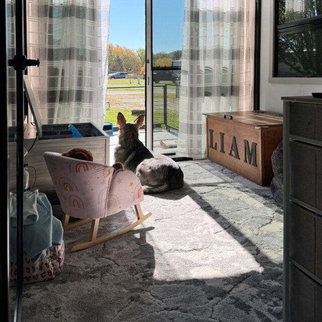 wpvc media 1710439024 Model G 3500 Your Toy Hauler Flex Space Jesse 3.14.2024 scaled