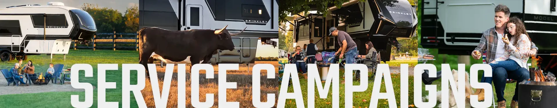 Brinkley Service Campaigns Recalls